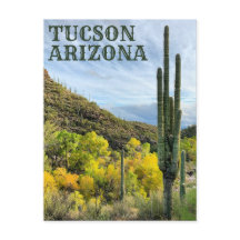 Autumn Färg Saguaro Sabino Canyon