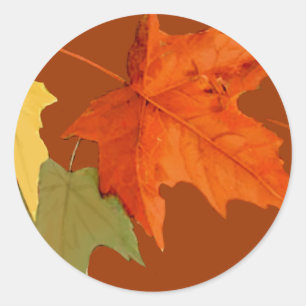 Autumn Färg Sticker Runt Klistermärke