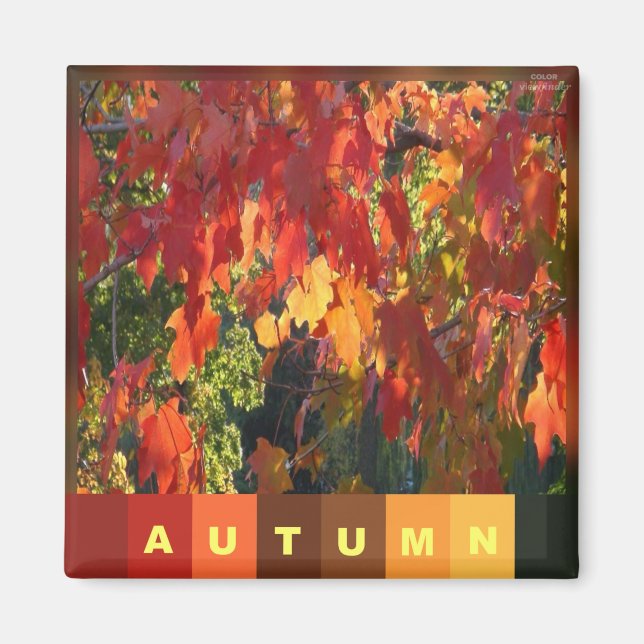 Autumn Foliage Magnet (Framsidan)