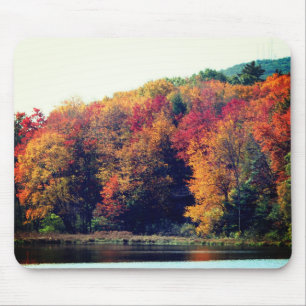 Autumn Foliage Pond Nature Musmatta