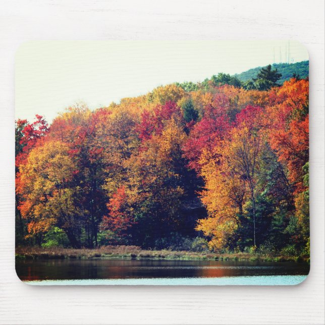 Autumn Foliage Pond Nature Musmatta (Framsidan)