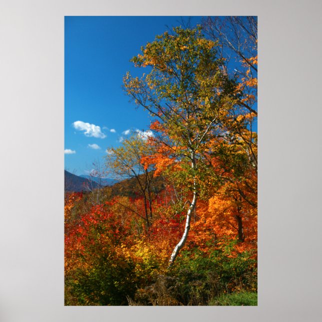 Autumn Foliage Poster (Framsidan)