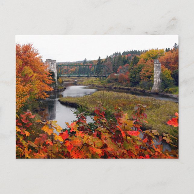 Autumn Foliage Vykort (Framsida)