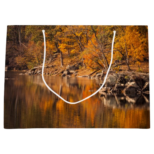 Autumn Forest (Framsidan)