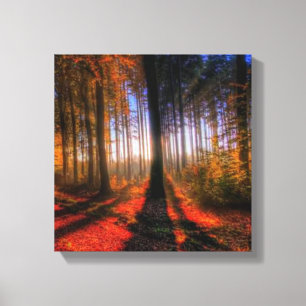 Autumn Forest Canvastryck