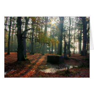 Autumn Forest Hälsningskort