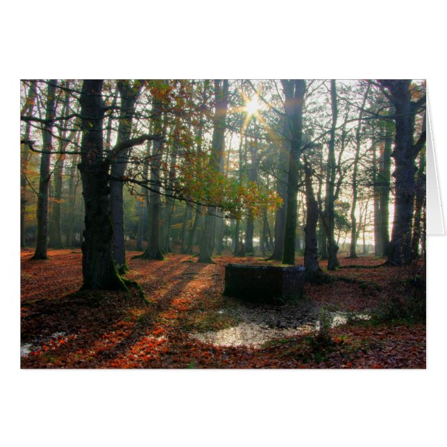 Autumn Forest Hälsningskort (Framsidan Horizontal)