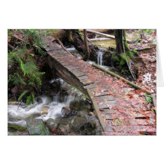 Autumn Forest Hälsningskort