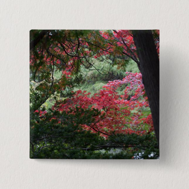 Autumn Forest Knapp (Framsida)