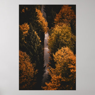 Autumn Forest Väg Poster