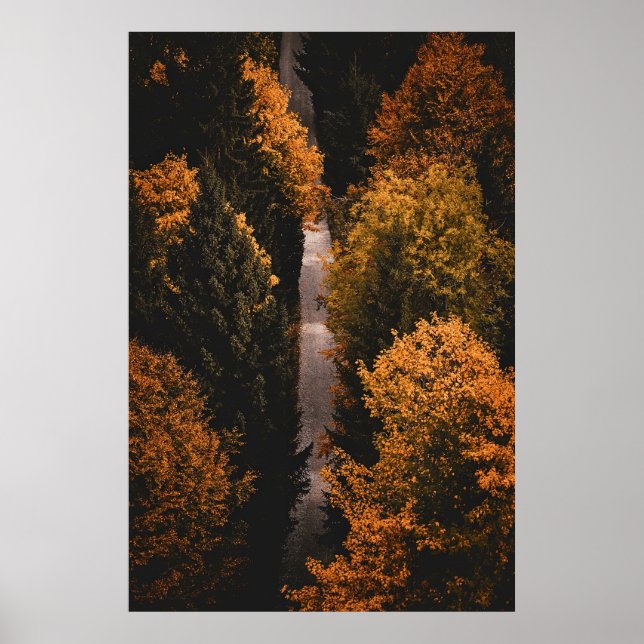 Autumn Forest Väg Poster (Framsidan)