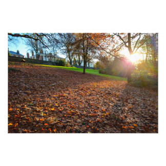 Autumn  fototryck