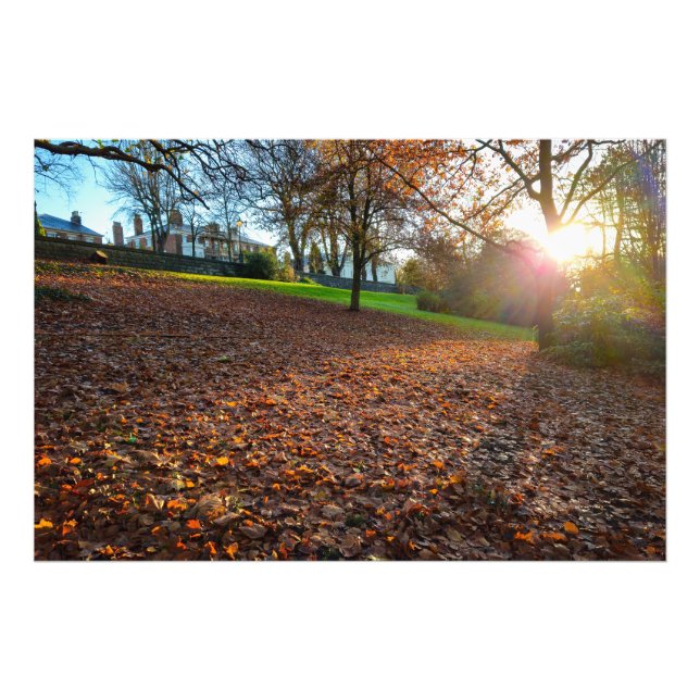 Autumn  fototryck (Framsidan)