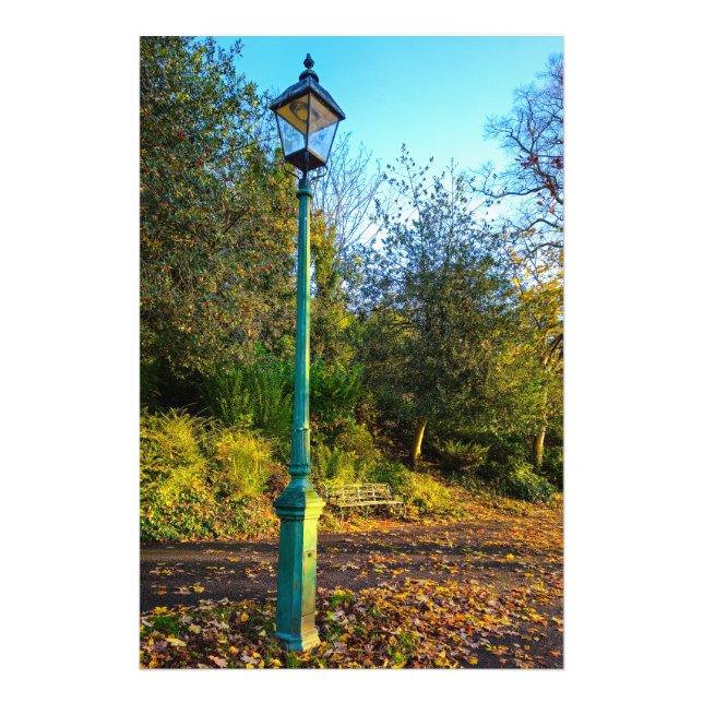 Autumn  fototryck (Framsidan)