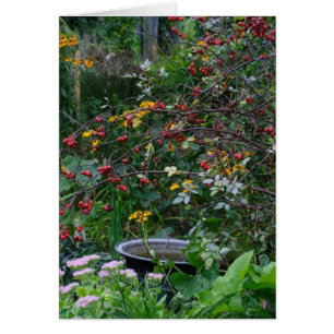 Autumn Garden Hälsningskort