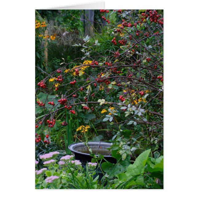 Autumn Garden Hälsningskort (Framsidan)