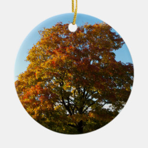 Autumn Garden, St.Petersburg Ryssland Ornament