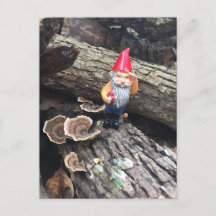 Autumn Gnome