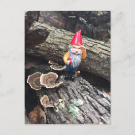 Autumn Gnome Vykort
