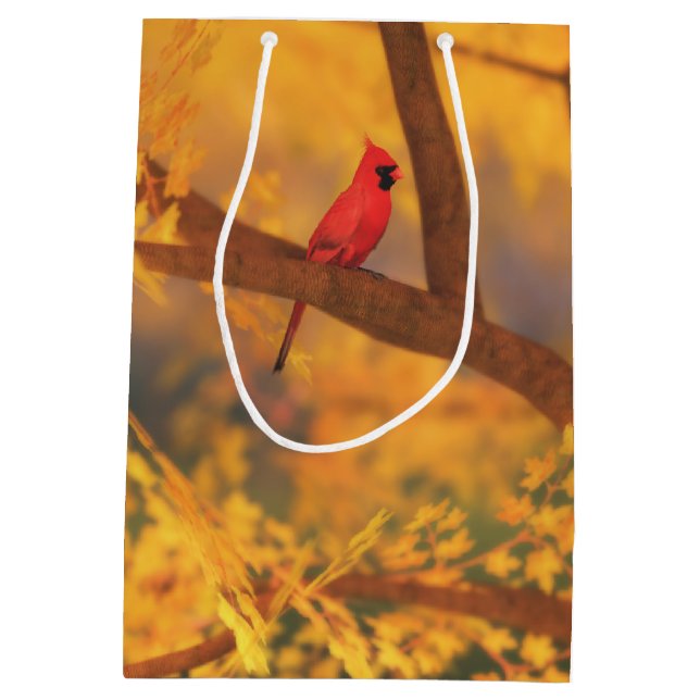 Autumn Guardian Gift Bag (Baksidan)