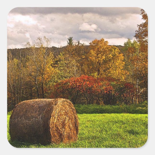 Autumn Harvest Fyrkantigt Klistermärke (Framsida)