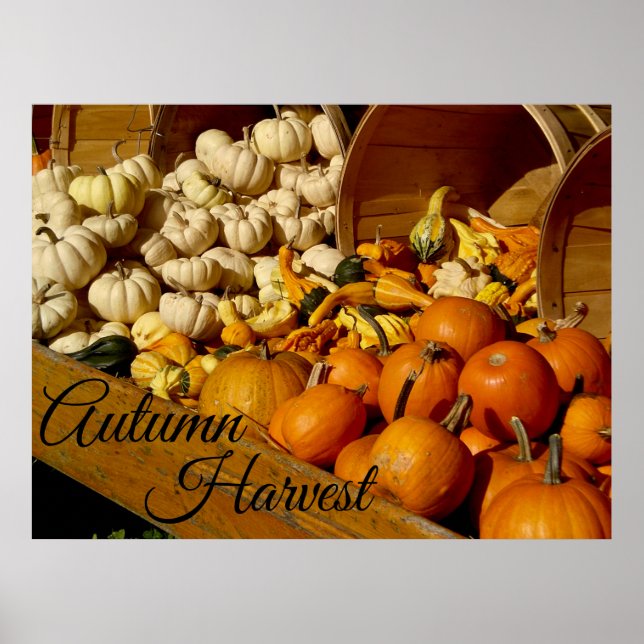 Autumn Harvest Poster (Framsidan)