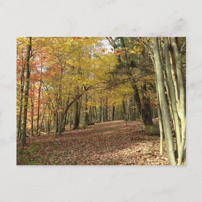 Autumn Harvest Thanksgiving Vykort (Framsida)