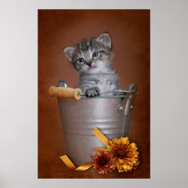 Autumn Kitten Poster