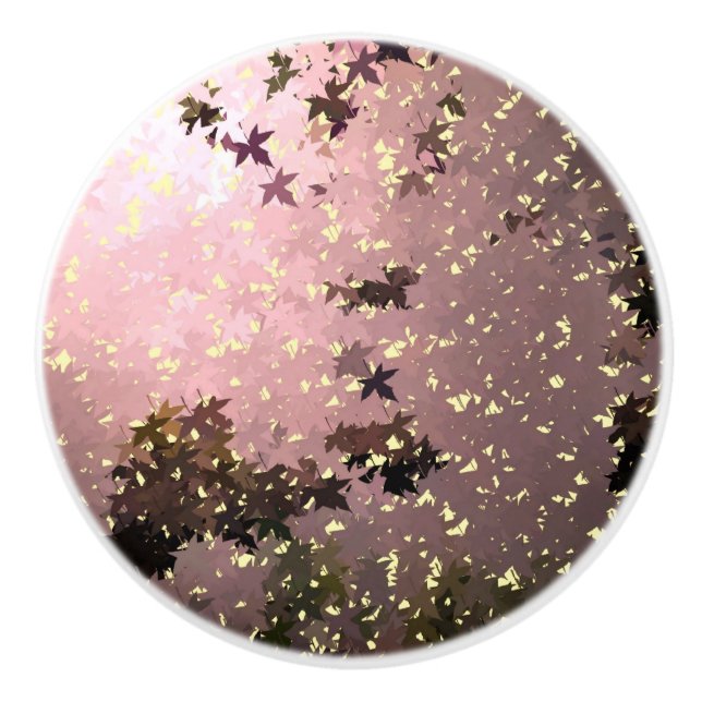 AUTUMN KNOPP (Framsidan)