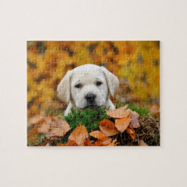 Autumn Labrador Pussel