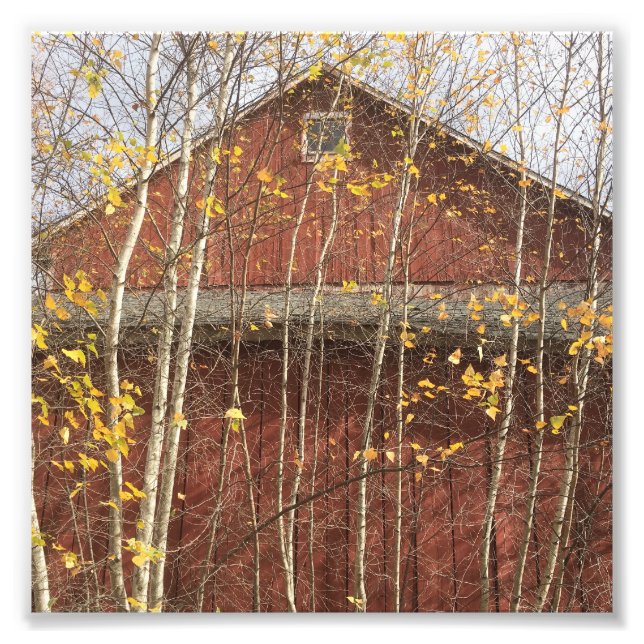 Autumn Land Barn Fototryck (Framsidan)