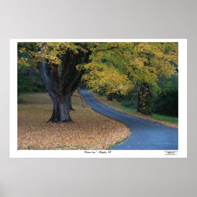 Autumn Lane Poster (Framsidan)