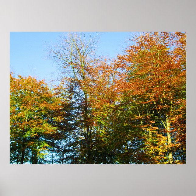 Autumn Leaves & Blue Skies - Personalised Poster (Framsidan)