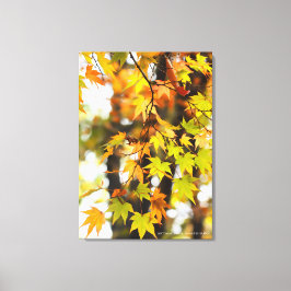Autumn Leaves [Canvas Print] Canvastryck