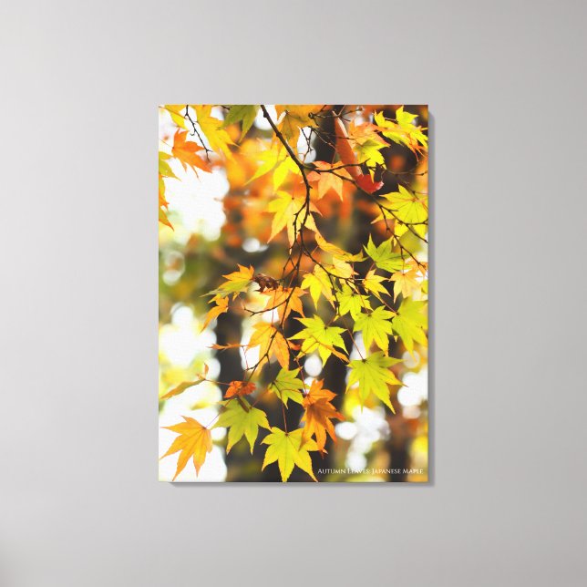 Autumn Leaves [Canvas Print] Canvastryck (Framsida)