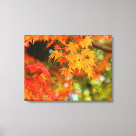 Autumn Leaves [Canvas Print] Canvastryck