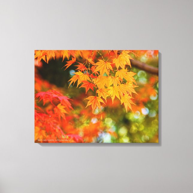 Autumn Leaves [Canvas Print] Canvastryck (Framsida)