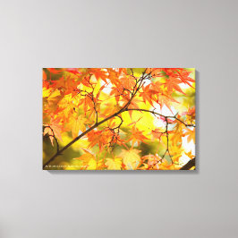 Autumn Leaves [Canvas Print] Canvastryck