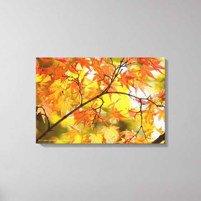 Autumn Leaves [Canvas Print] Canvastryck (Framsida)