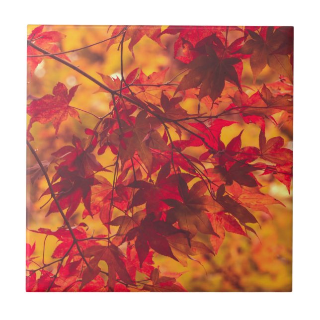 Autumn Leaves Fall Color Red Ceramic Tile Kakelplatta (Framsidan)
