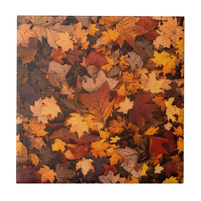 Autumn Leaves Kakelplatta (Framsidan)