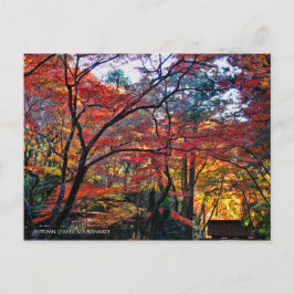 Autumn Leaves: Kourannkei [Postcard] Vykort
