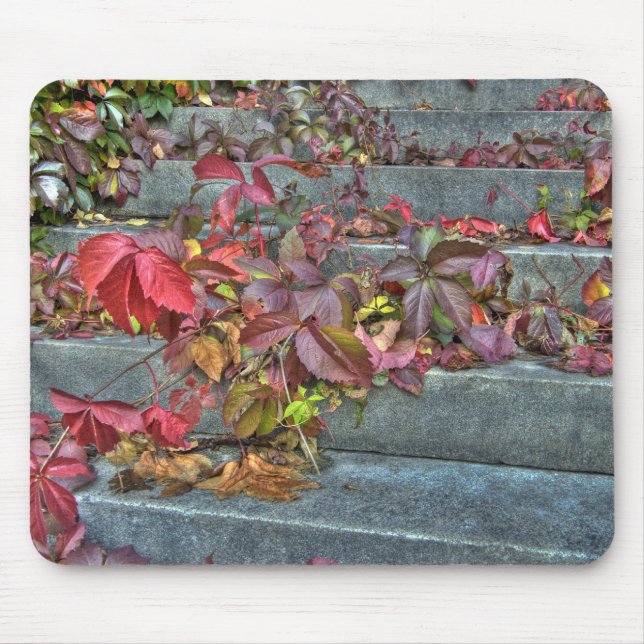 Autumn leaves mousepad musmatta (Framsidan)