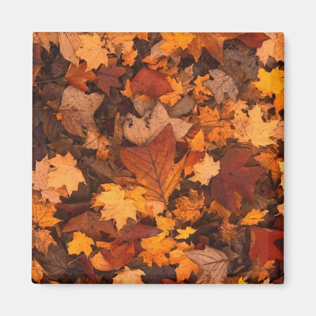 Autumn Leaves Photo Magnet (Framsidan)