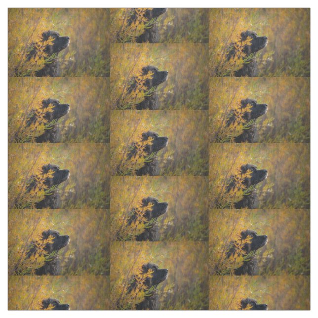 Autumn Leonberger Tyg (Provkarta)