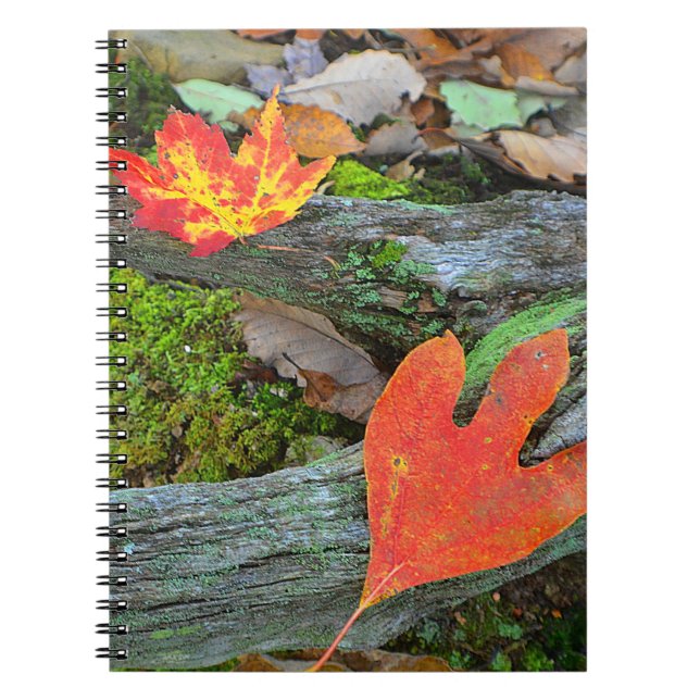 Autumn Löv - anteckningsbok Med Spiral (Framsidan)