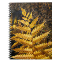 Autumn Löv Golden Fern Photo