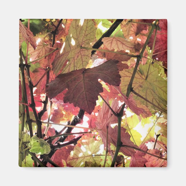 AUTUMN MAGNET (Framsidan)