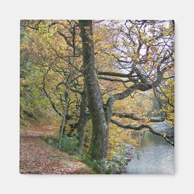 AUTUMN MAGNET (Framsidan)