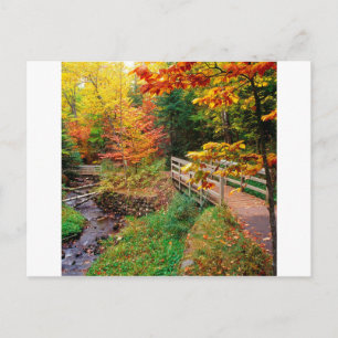 Autumn Munising Trail Alger County Michigan Vykort